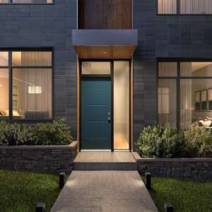 Modern Door Details